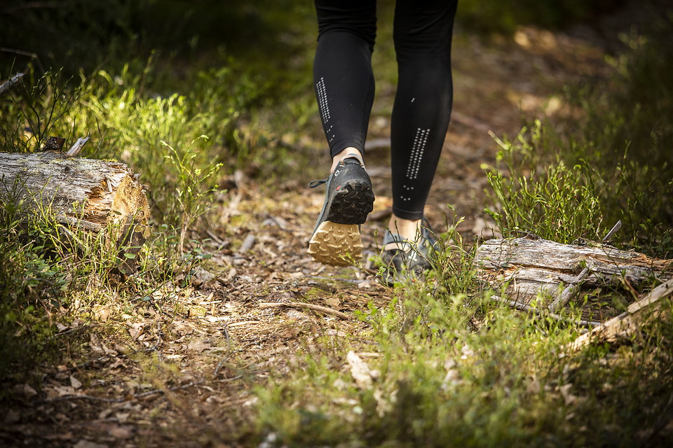 Ljusdals kommun Photo