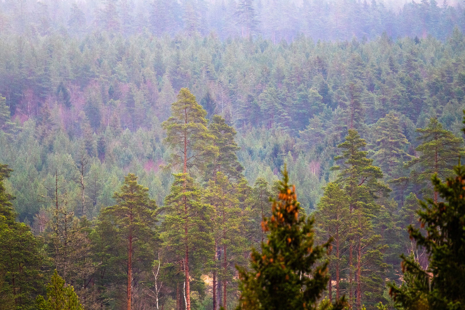 Tiveden Ökotourismusgebiet