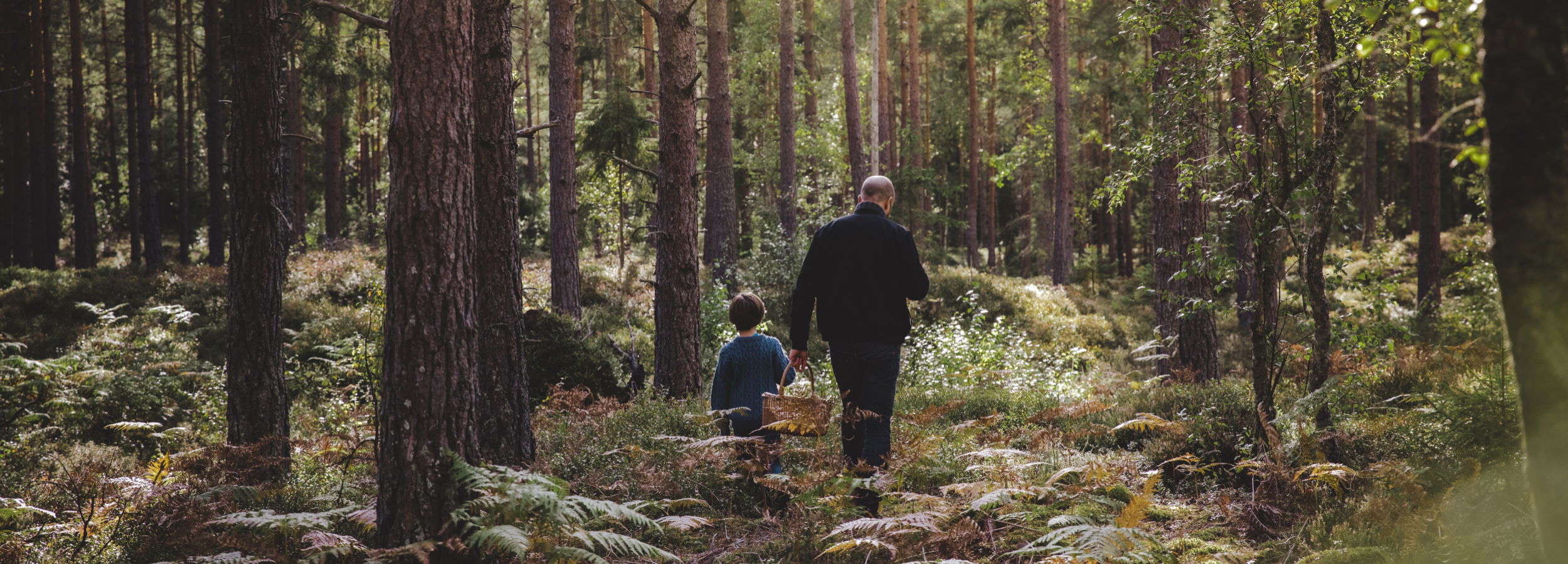 Torsås kommun — Naturkartan