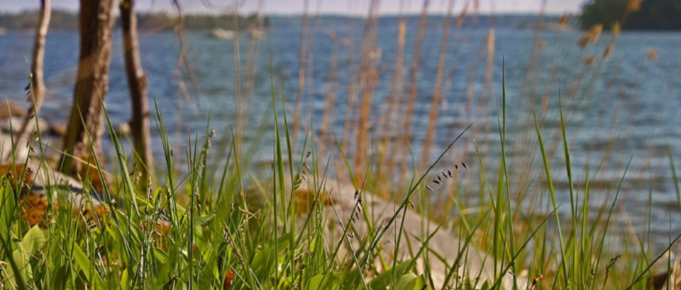 Österåkers kommun Photo