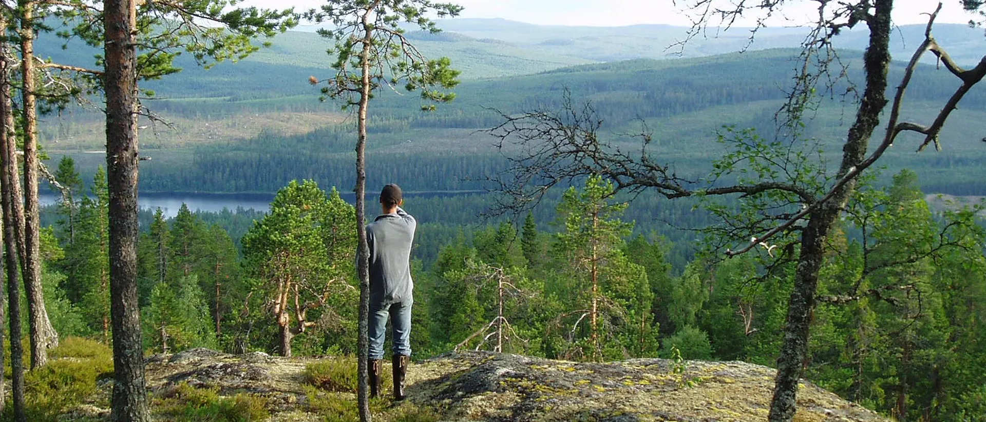 Sveaskog