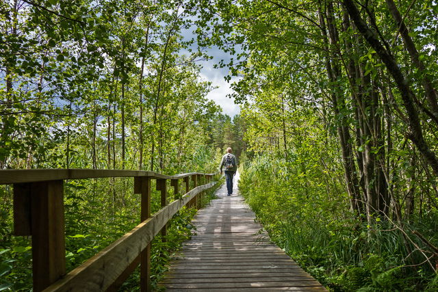 Flens kommun