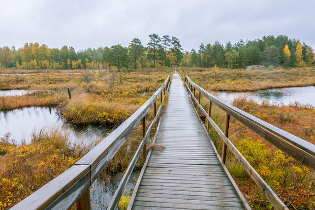 Flens kommun