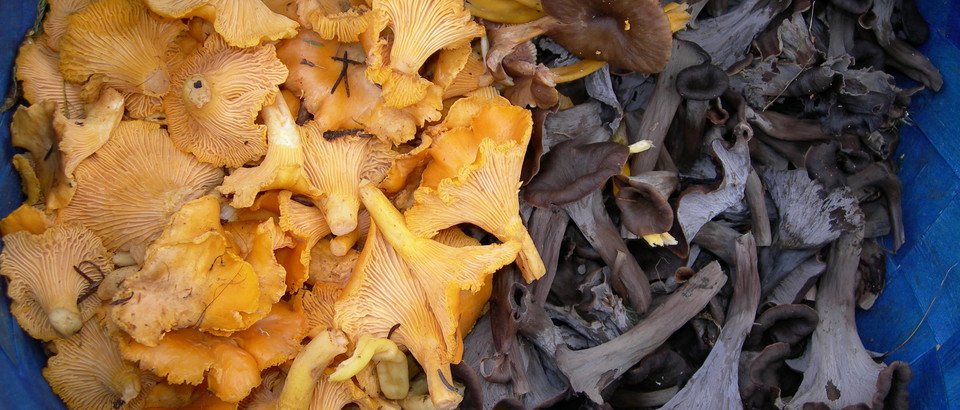 Länsstyrelsen Västmanlands län Photo