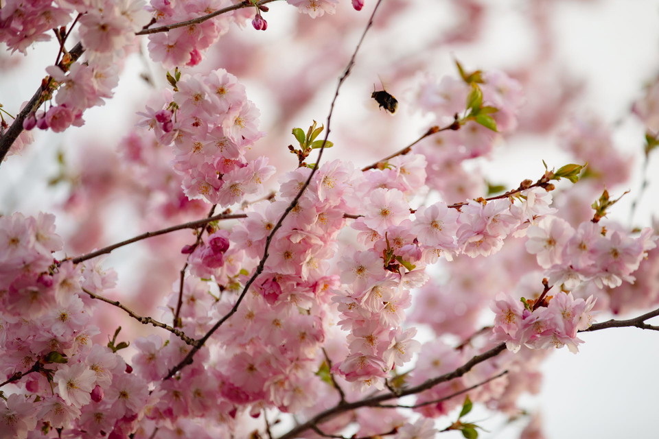 Katrineholms kommun Photo