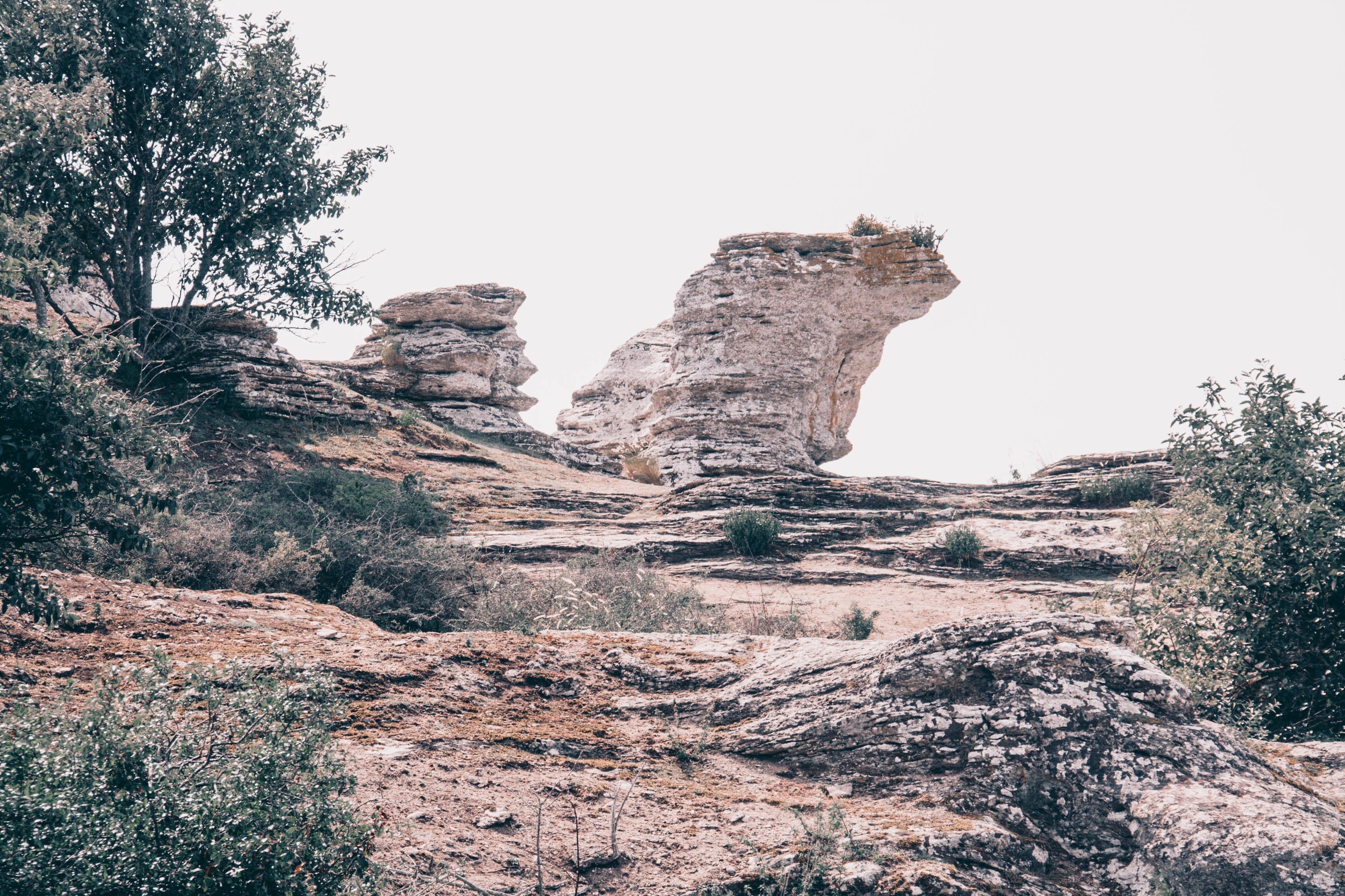 Gotland