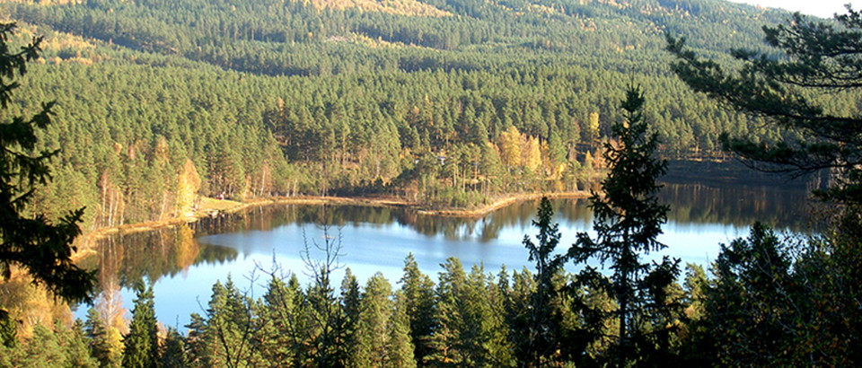 Jönköpings län Photo