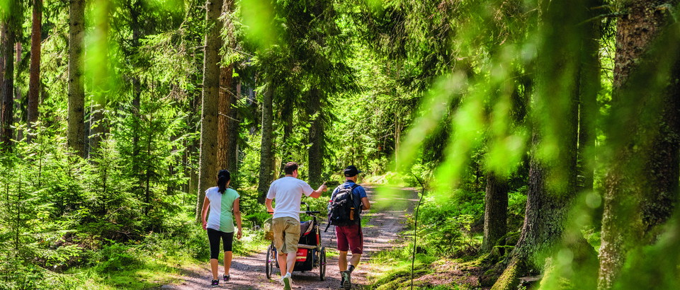 Tranås kommun Photo