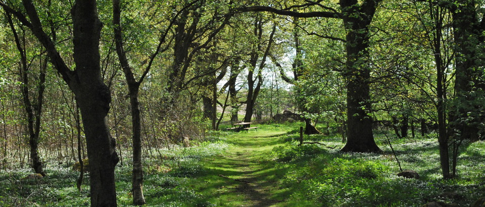 Helsingborg kommun Photo