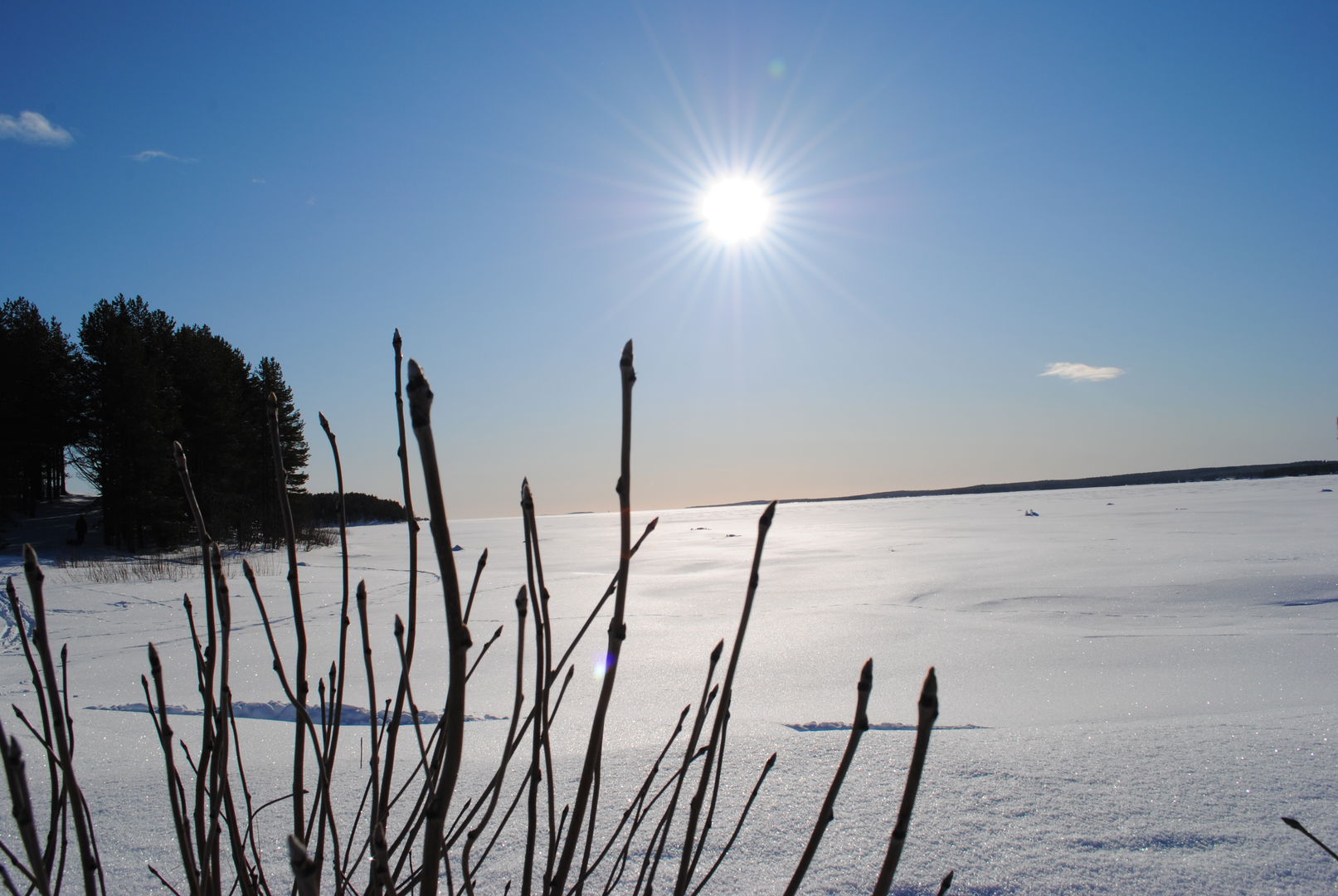 Piteå kommun