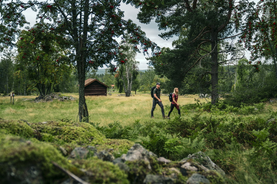 Hiking Dalarna Photo