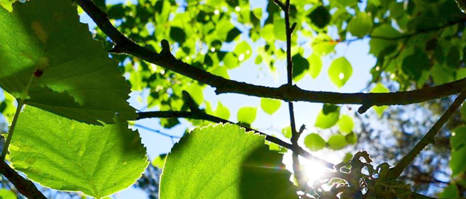 County Administrative Board of Halland Photo