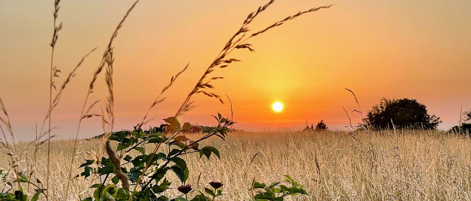 Länsstyrelsen Skåne län Photo