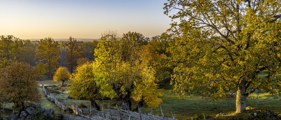 Visit Hultsfred Photo