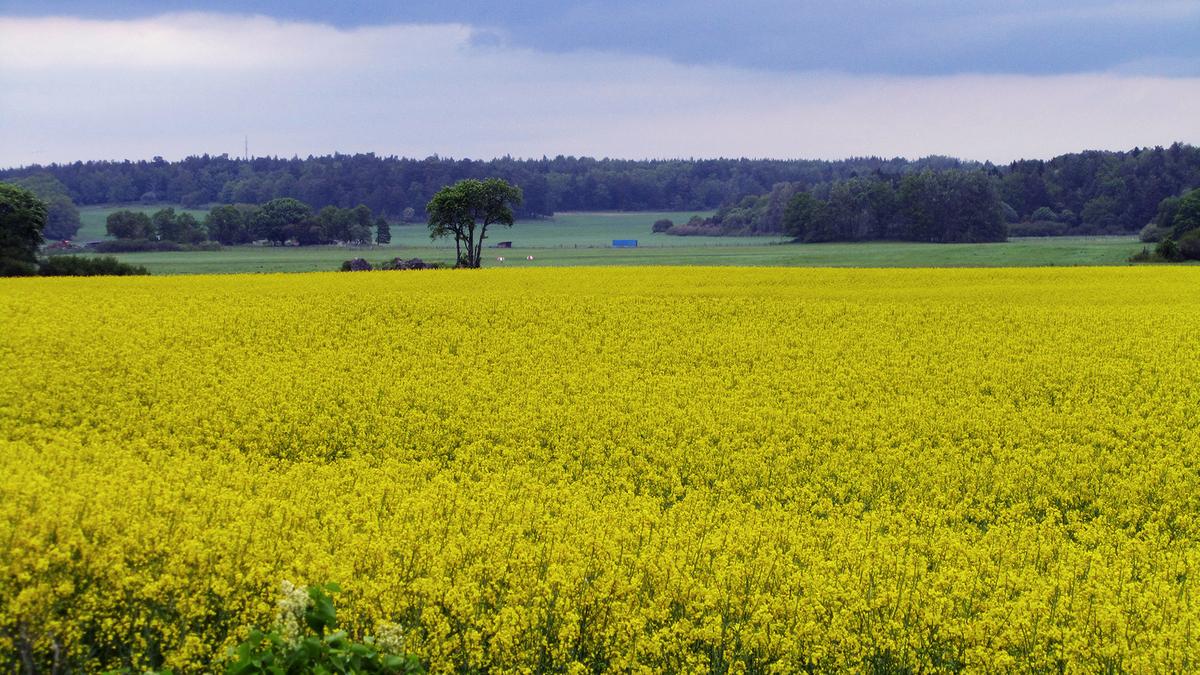 Ekerö kommun