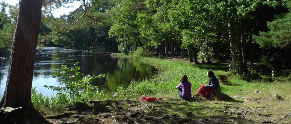 Nyanländas guide till Sveriges natur Photo