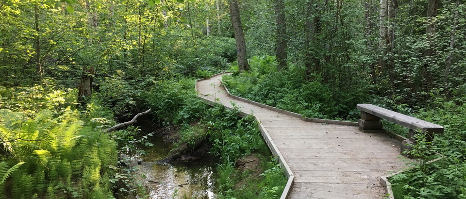 Borlänge kommun Photo