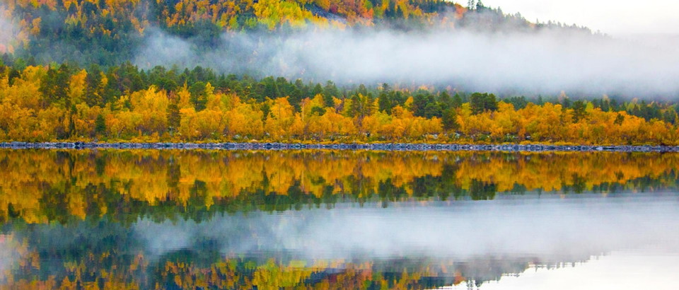 Svenska Turistföreningen Photo
