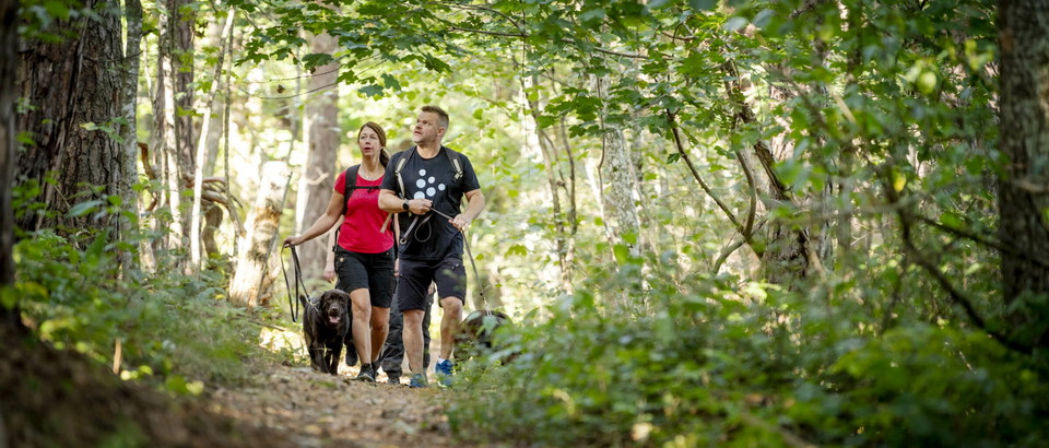 Västra Mälardalen Photo