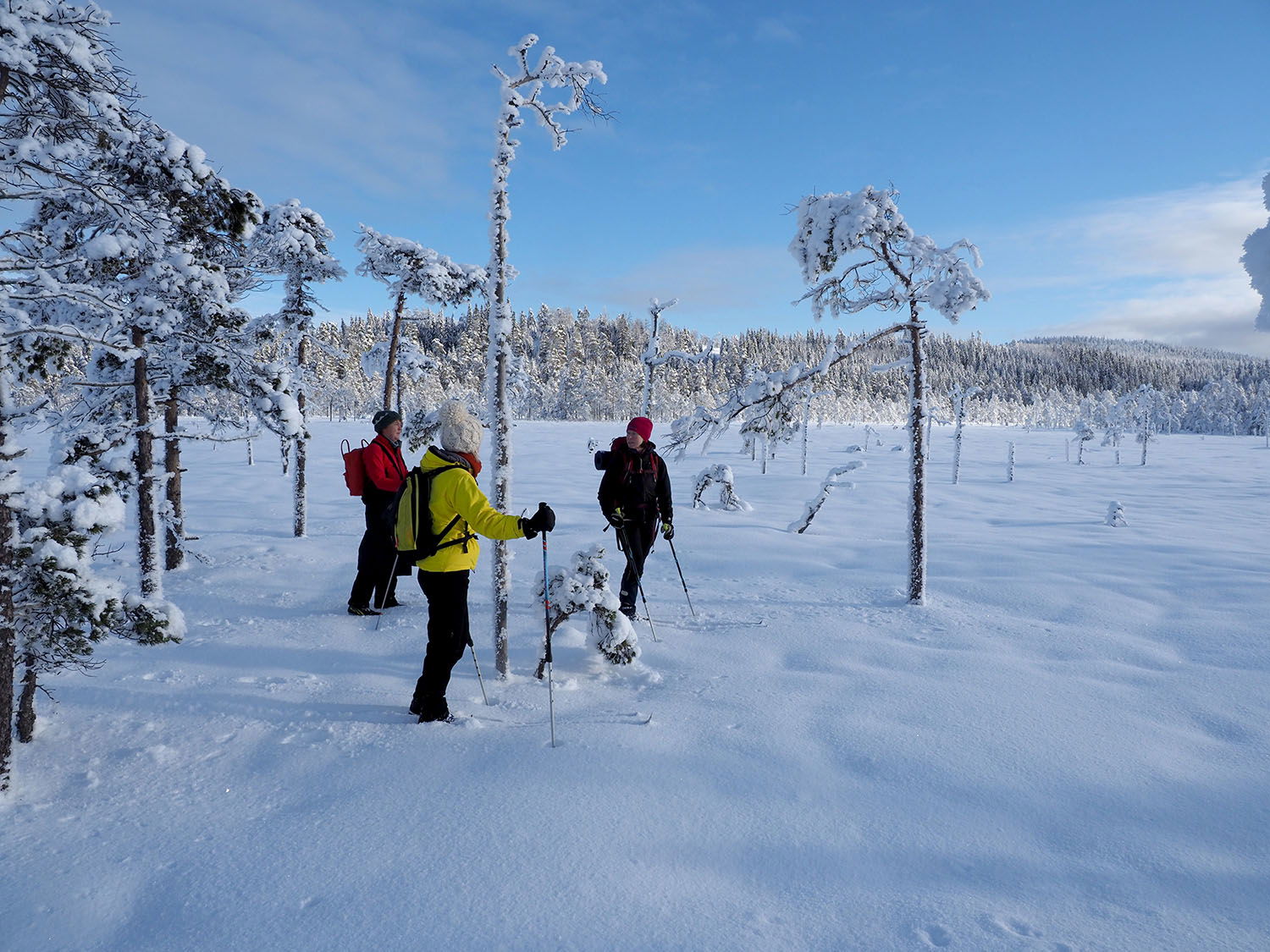 Leksands kommun