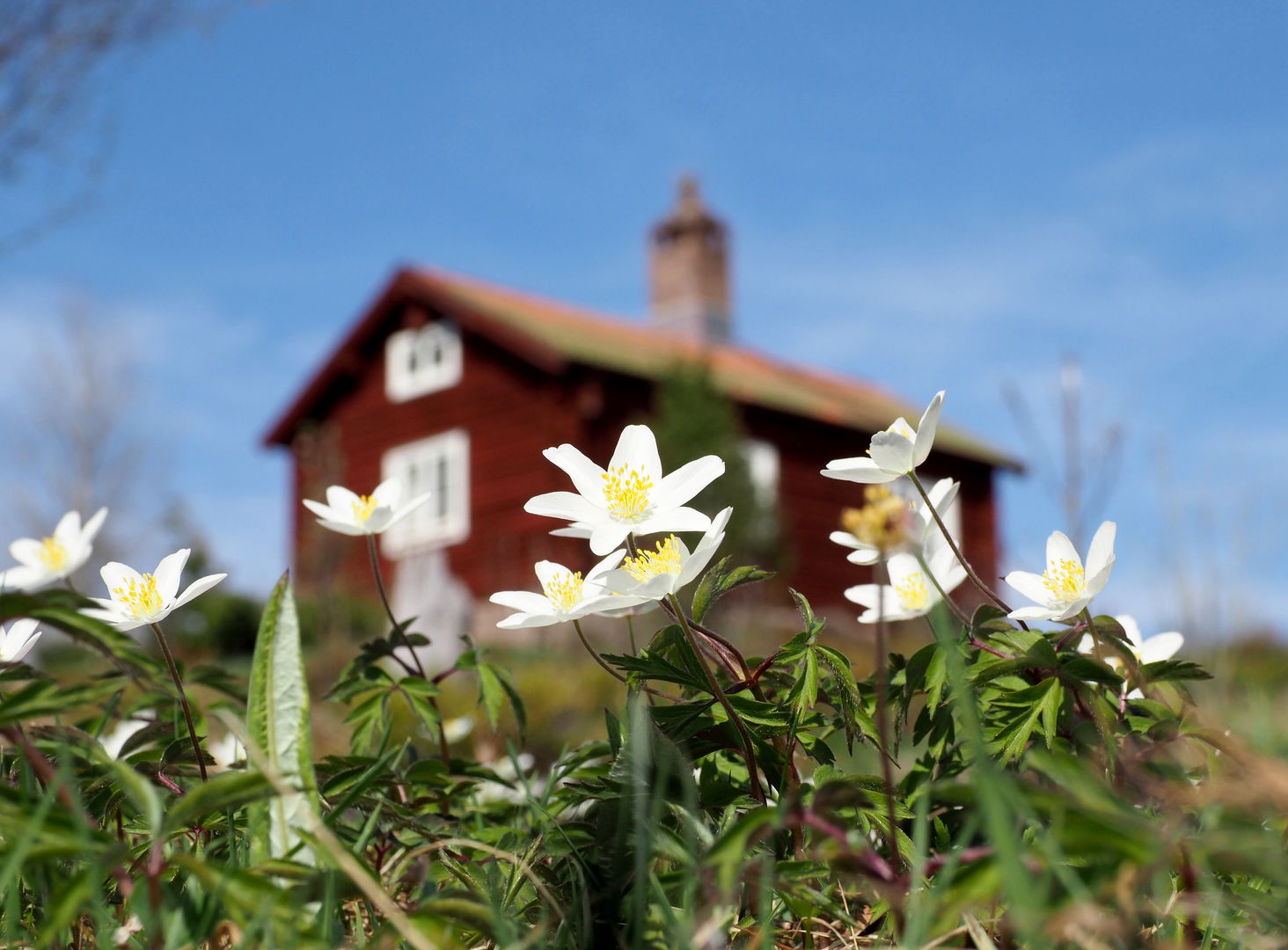 Leksands kommun