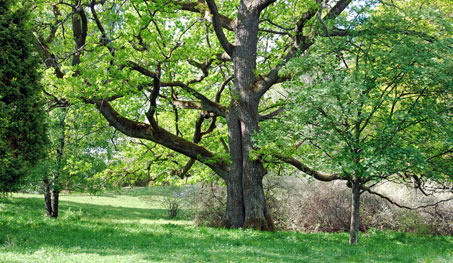 Municipality of Södertälje