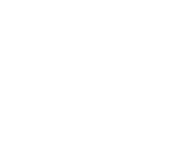 L nsstyrelsenlogo 1.5pkt