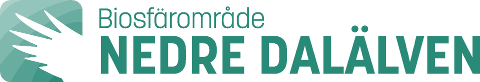 Nedre Dalälven Logo