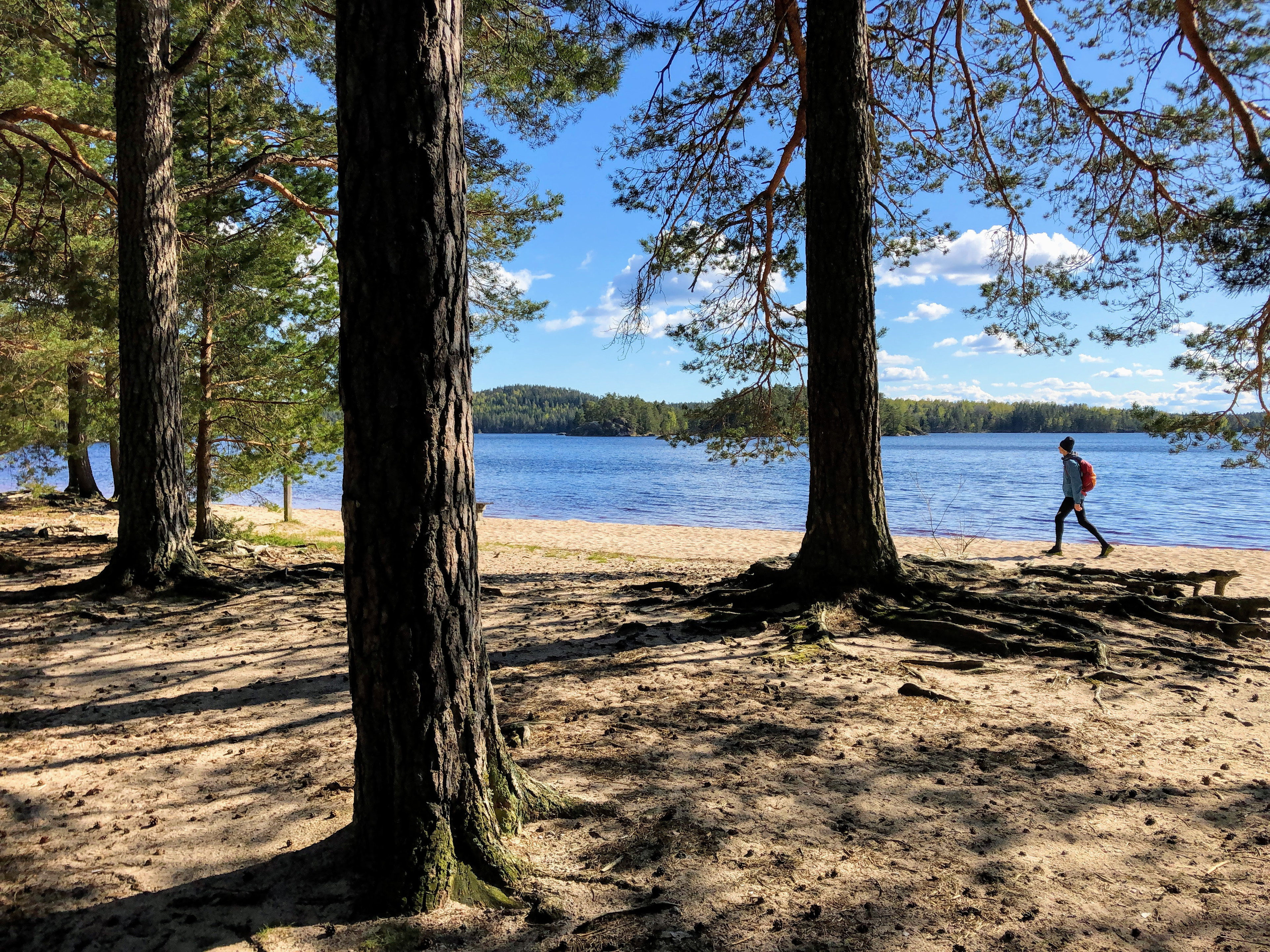 Regenerativt friluftsliv – från att inte störa till att aktivt bidra