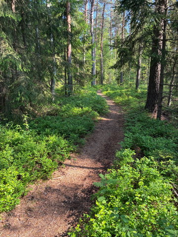 Mountainbike Gröngölingen