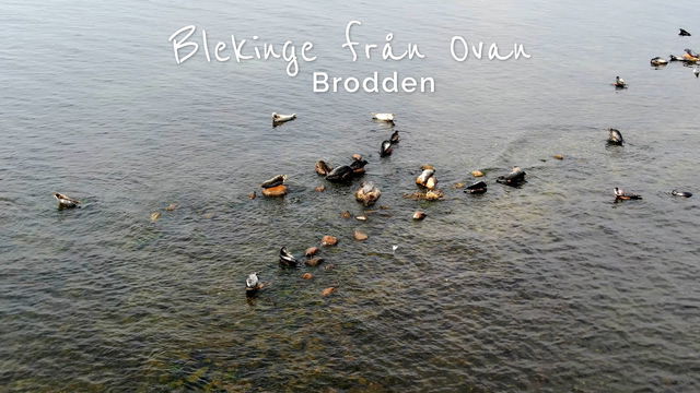 Brodden - drönarfilm om Biosfärområdets kultur- och naturlandskap