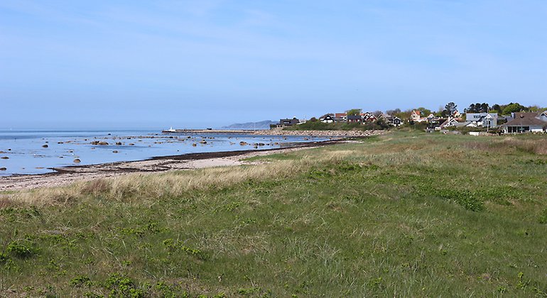 Strandhed söder om Lerberget.