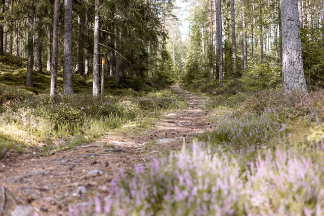 Gislavedsleden