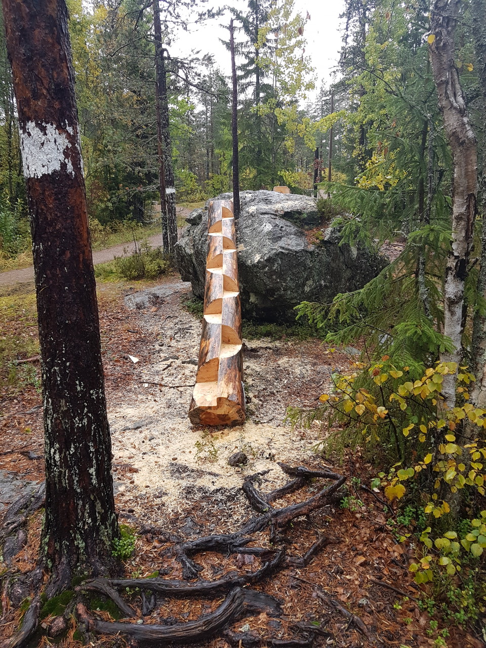 Balanshinder