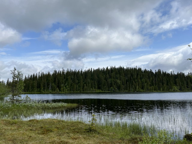 Nosenaj