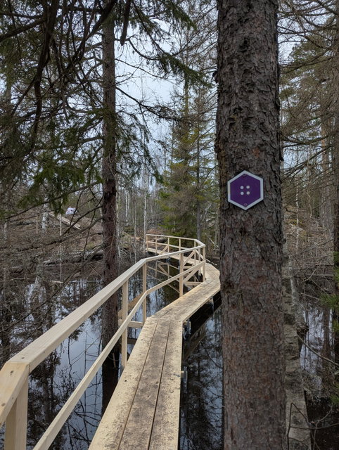 Ny spång 2026 leder dig nära förbi bäverdämmet.
