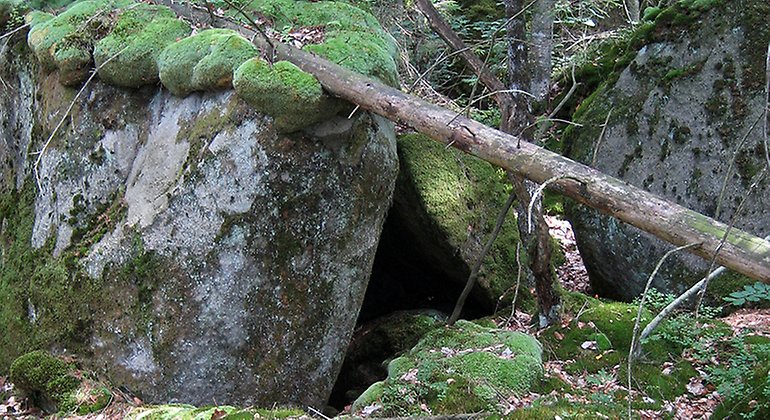 Stenblock i Dalshults skogar.