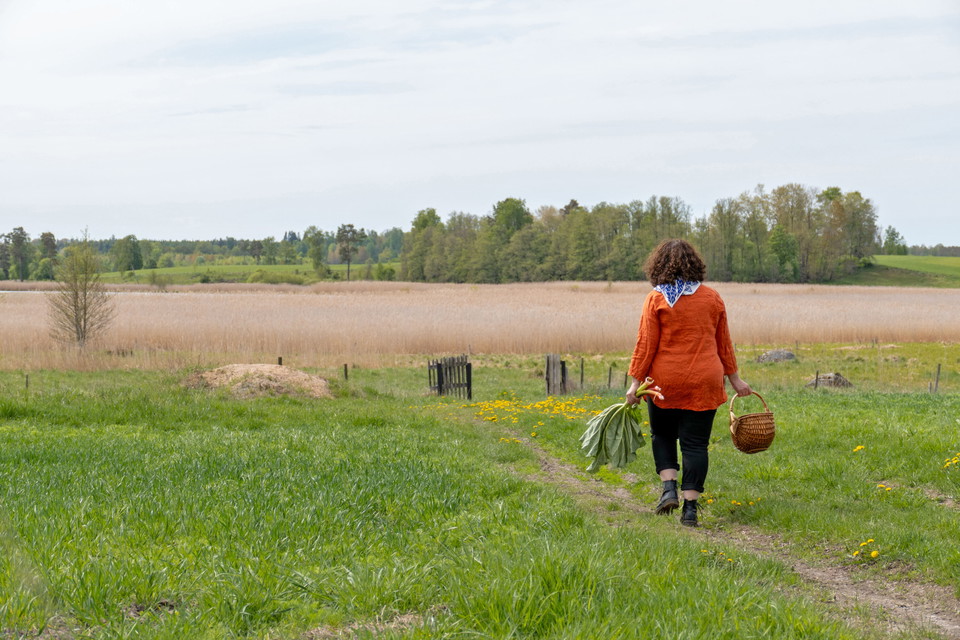 Flens kommun Zdjęcie