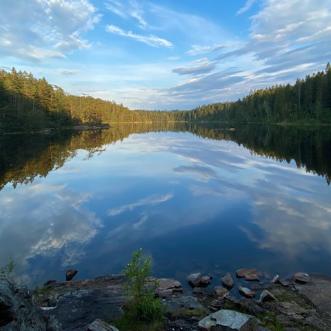Svartedalens natur- och friluftsområde, Naturreservat
