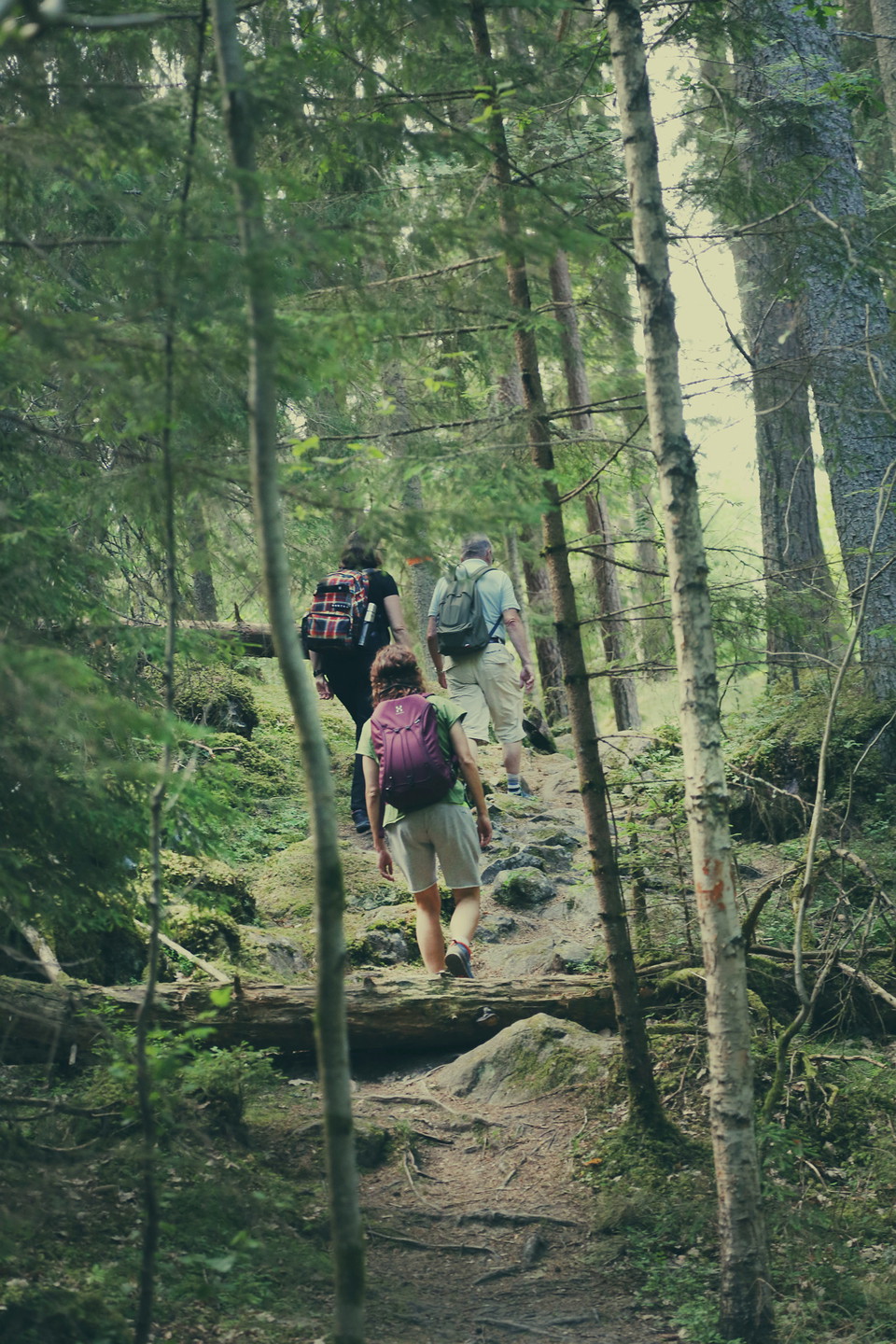 Birgittaledsvandringen 26 maj - 2 Juni