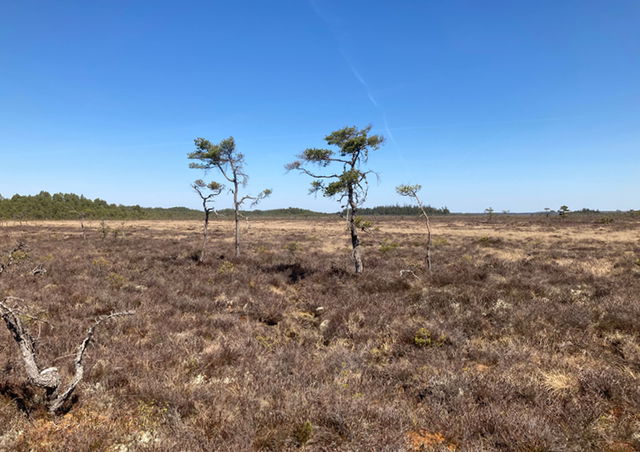 Kärdaleden - En del av Smålandsleden (minigude)