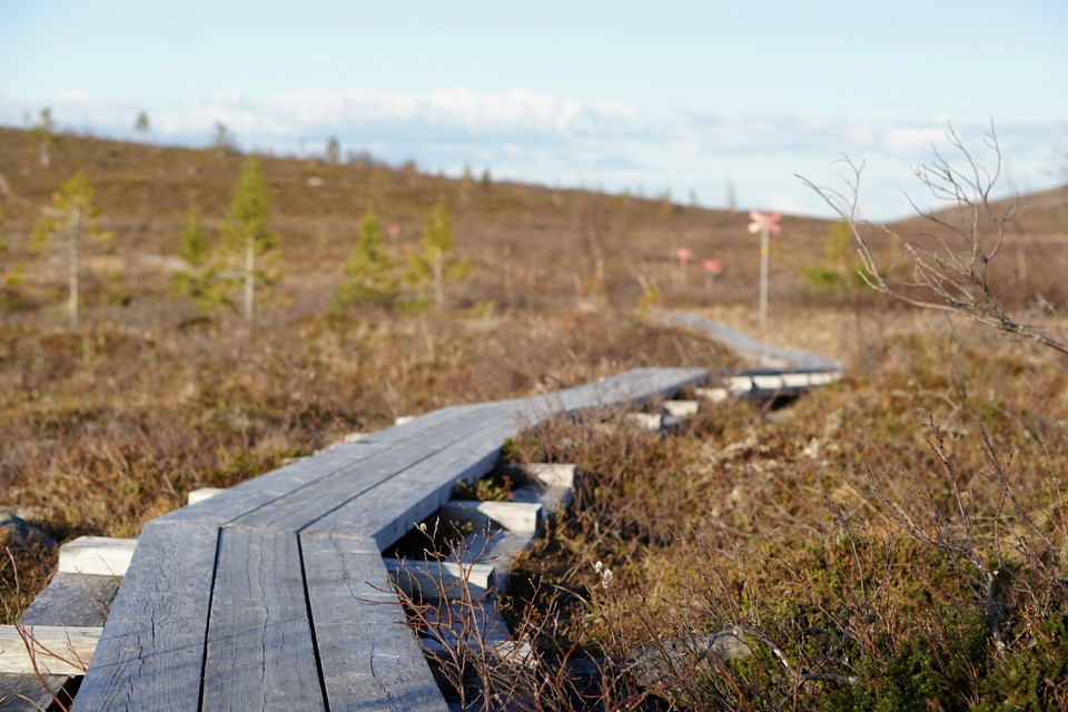 Motionsslingor under sommaren