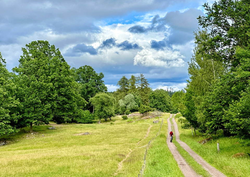 Visit Fegen med Teo - sommar 2025