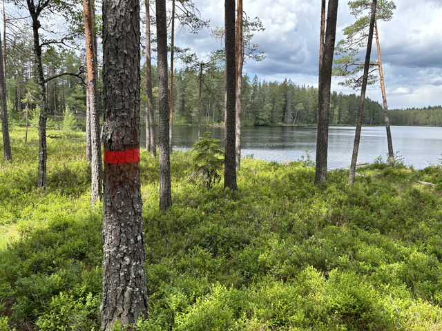 Hiking Dalarna-Malingsbo Kloten 