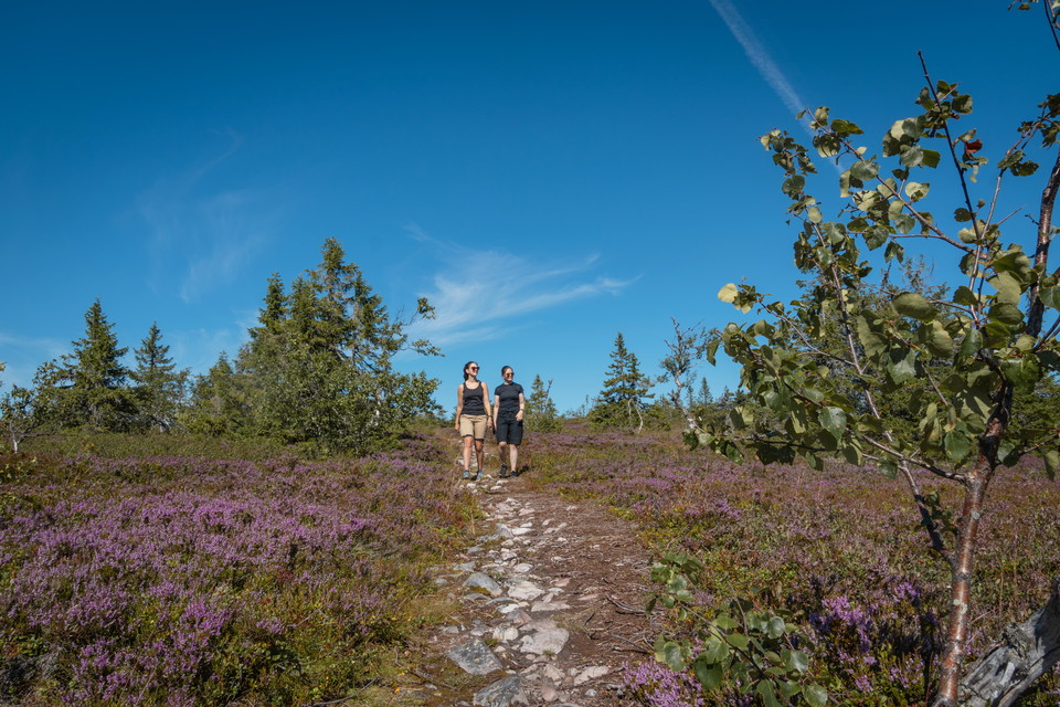 Hiking Dalarna-Sälenfjällen