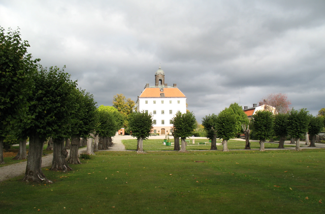 Fina naturreservat att besöka i Västmanland