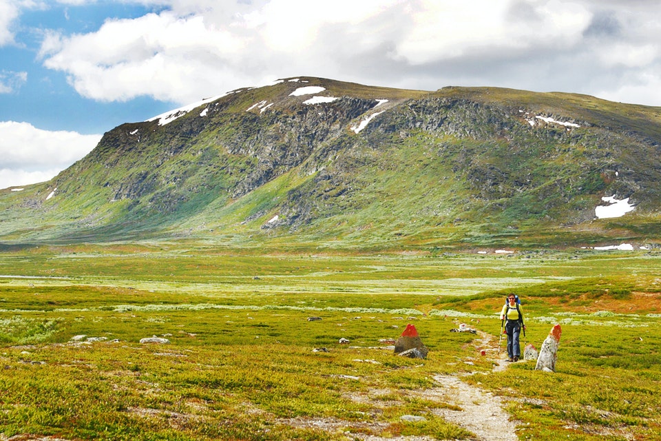 Leder Västerbottens län