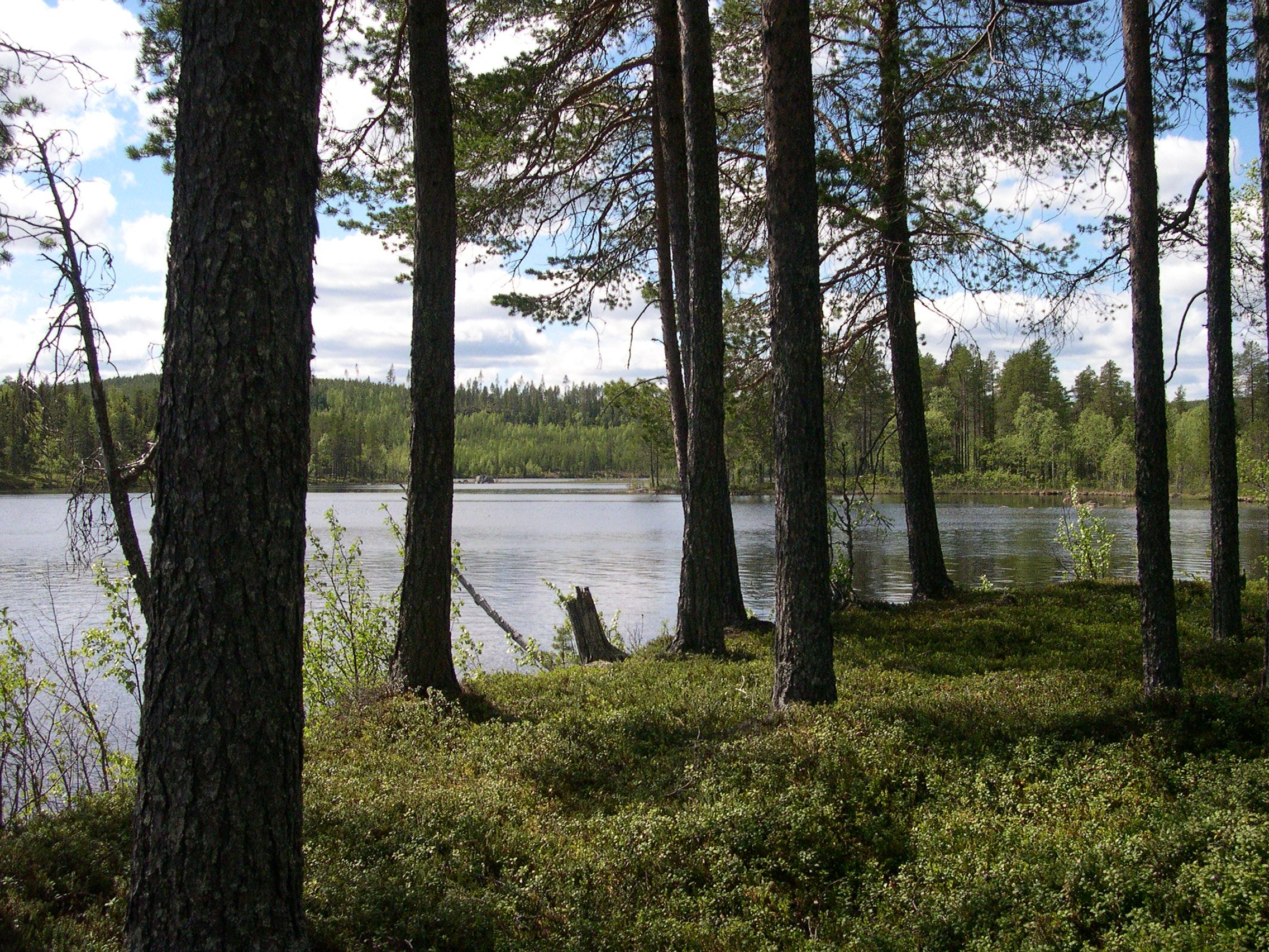 Västerbottens läns naturreservat - krysslista