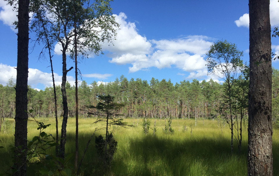 Västmanlands läns naturreservat - krysslista