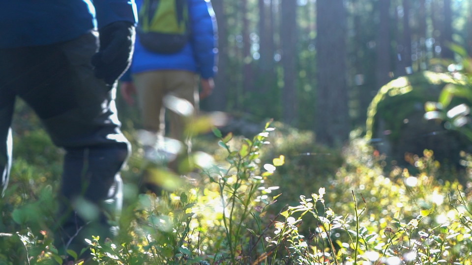 Östgötaleden kring Linköping